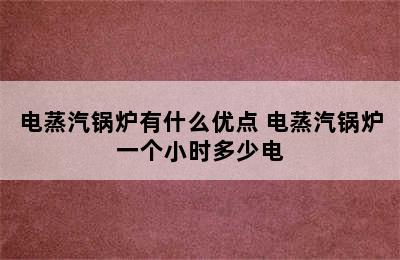 电蒸汽锅炉有什么优点 电蒸汽锅炉一个小时多少电